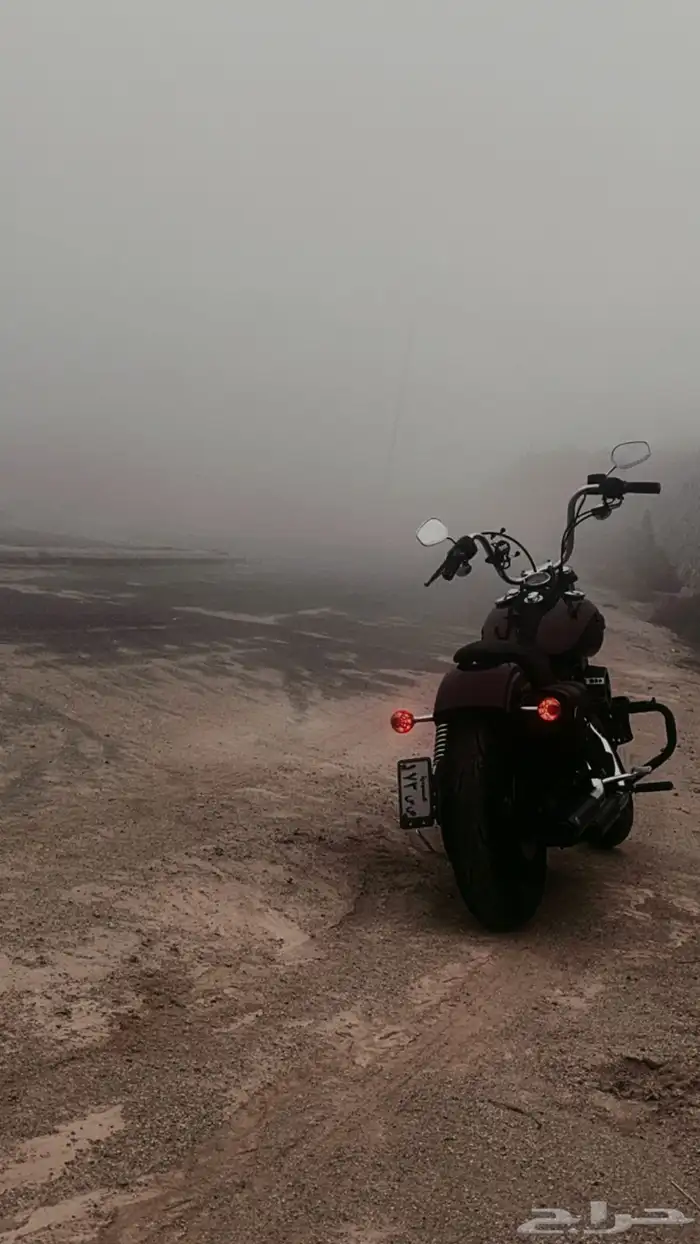دباب Street bob ( Dayna ) 2016 3