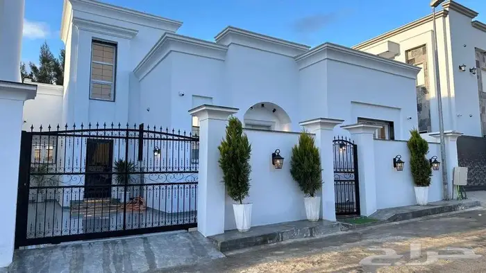 صباغ الاحساء 9