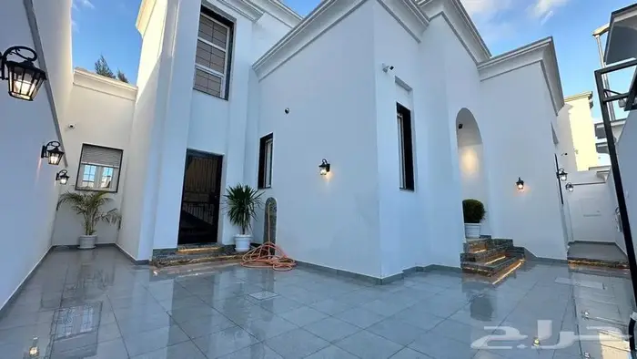 صباغ الاحساء 8