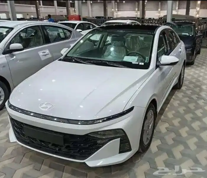 اكسنت فليت 2026 1