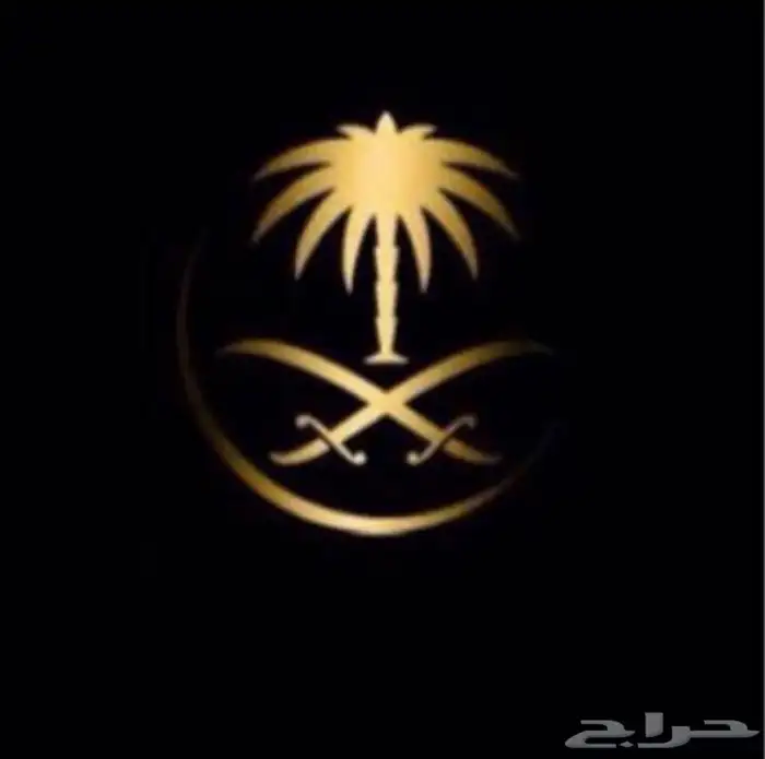 توصيل ونقل داخل وخارج هايلكس دنه تريله 1