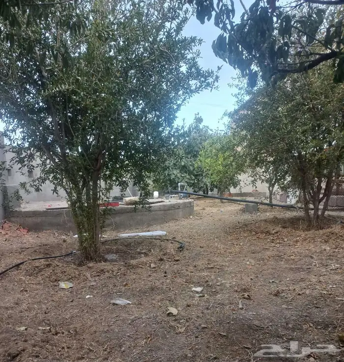 دور مستقل للايجار 10