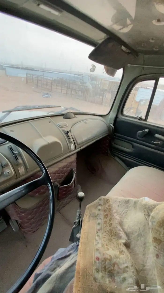 عايدي 1979 8