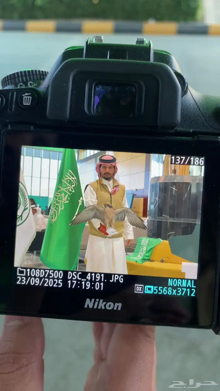 صقور للاجار في الحفلات والمناسبات 4