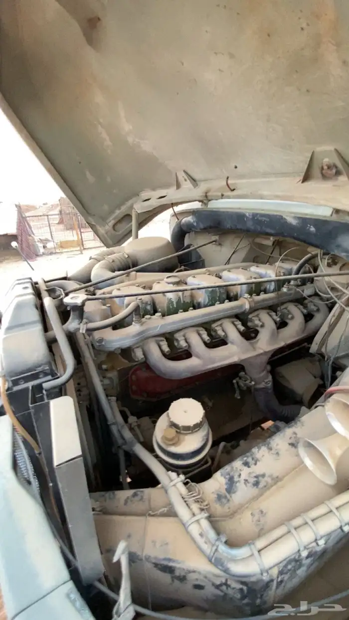 عايدي 1979 11