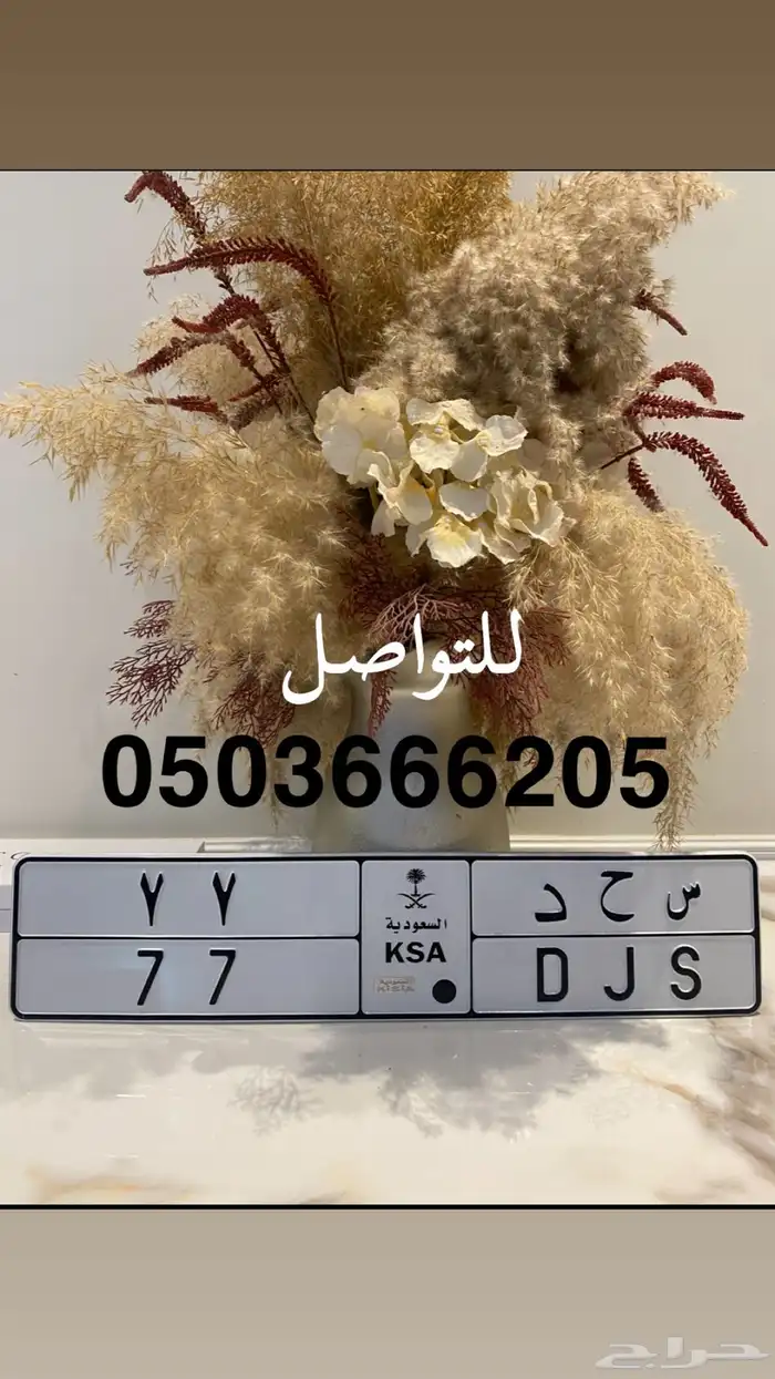 لوحة مميزة 0
