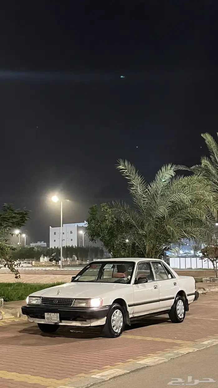 كرسيدا   اللوحه على موديلها مميزه جدا 2