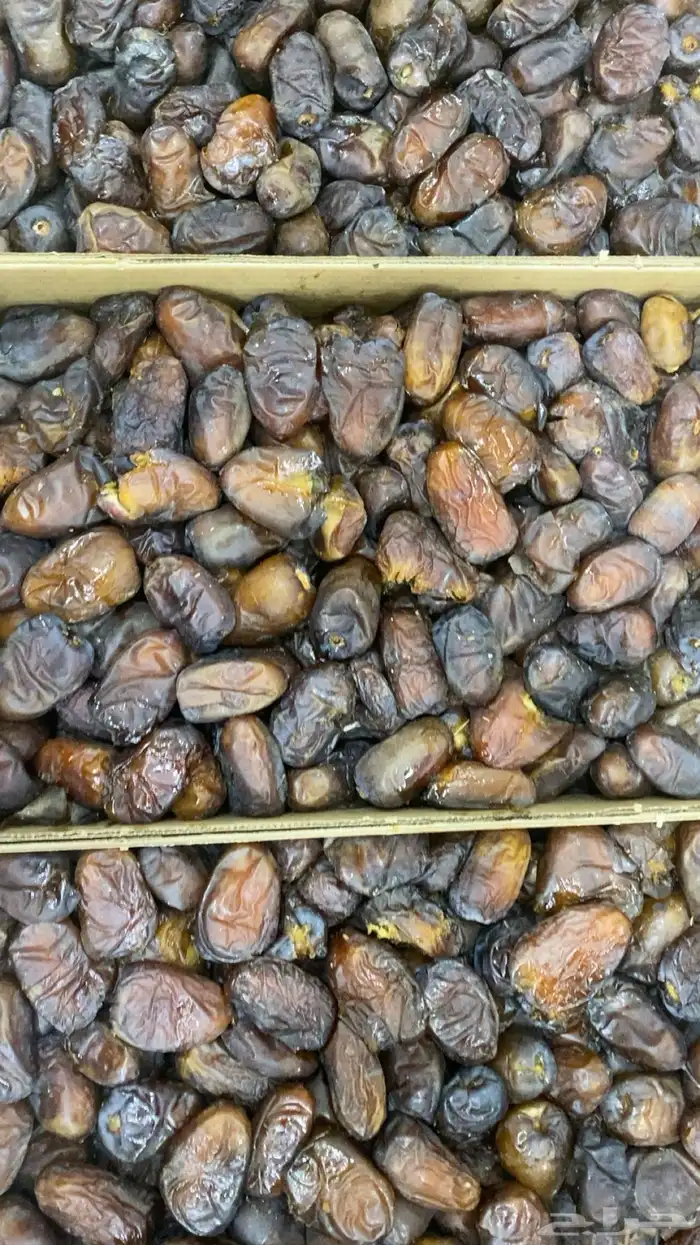 ونانه متمره للبيع 2