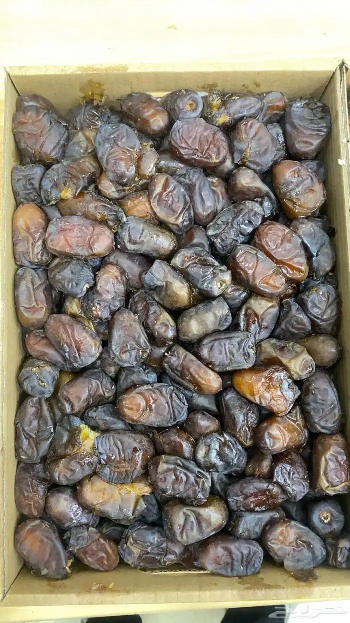 ونانه متمره للبيع 0