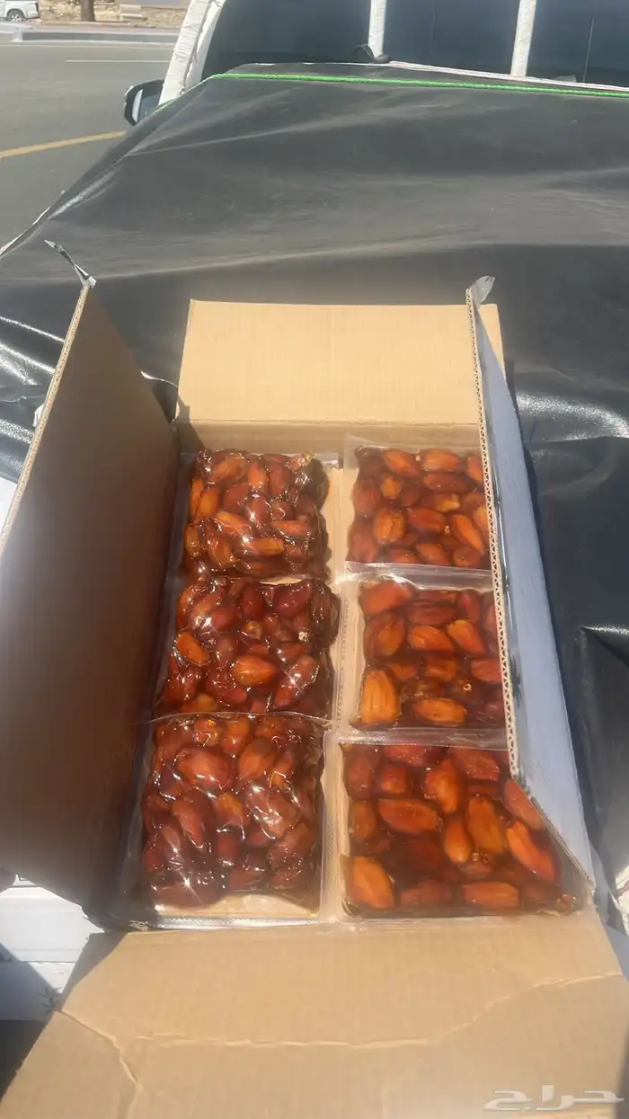 تمر صفري بيشه 0