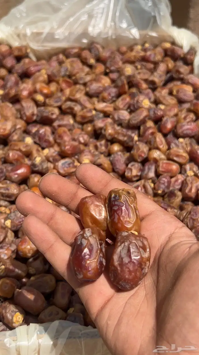 تمر خلاص وادي مفروز اصفر شرط لحمته كفو سكريه 0