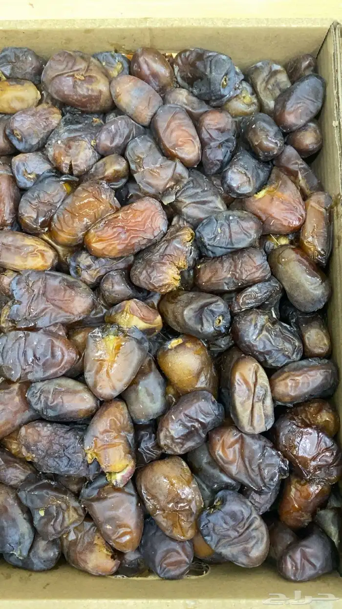 ونانه متمره للبيع 1