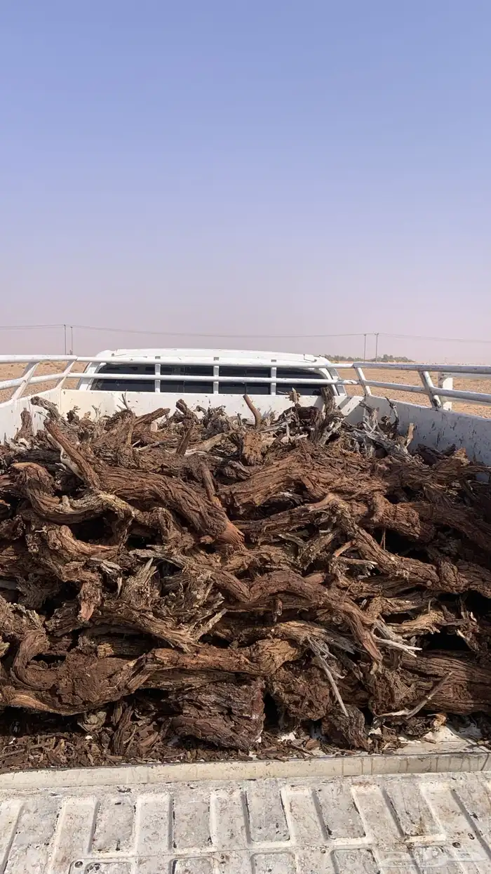 دفايه خطين 1