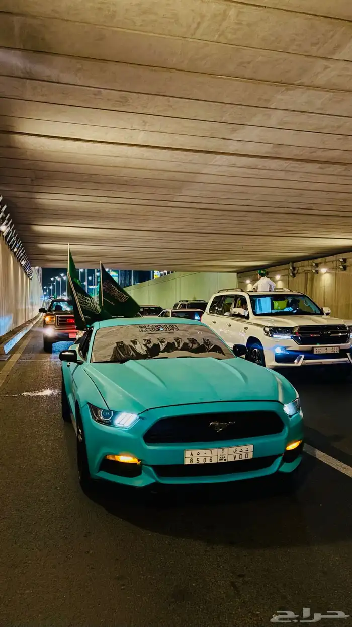 موستنج 2015 للبيع 12