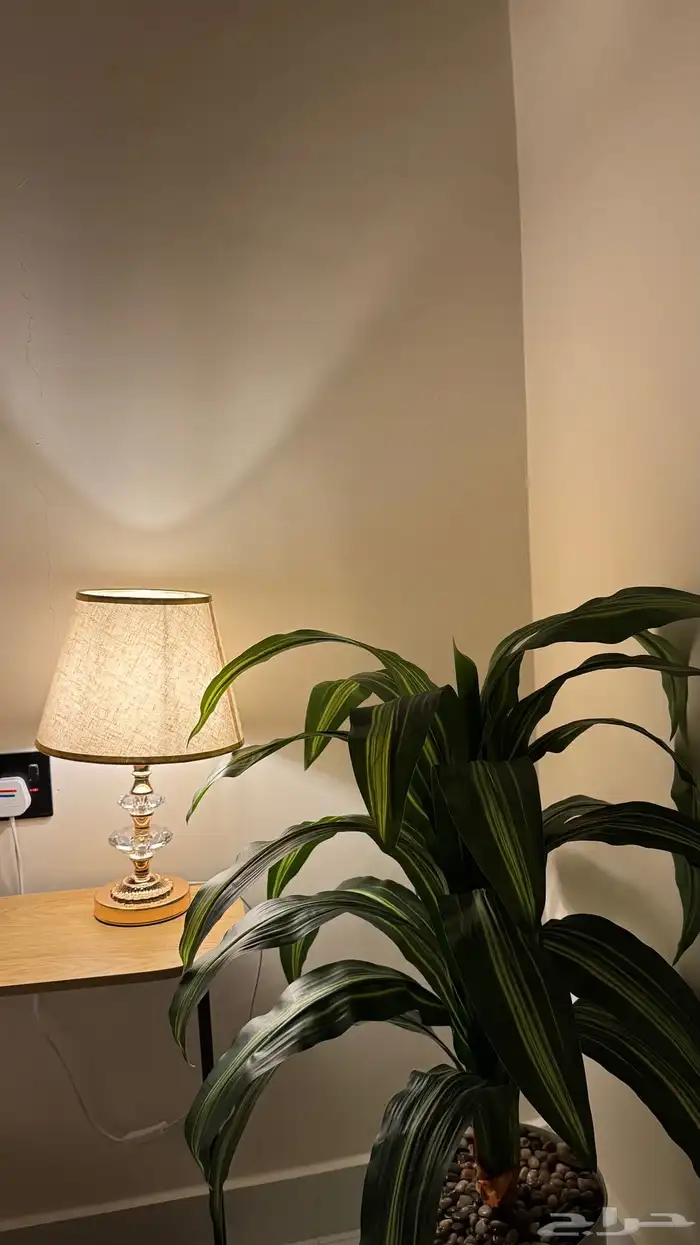 شقة مفروشة للتأجير اليومي والشهري تقاطع حراء مع المدينة 12