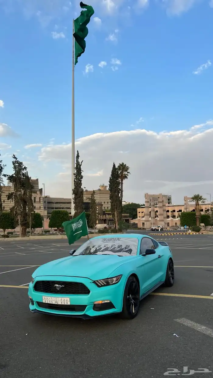 موستنج 2015 للبيع 13