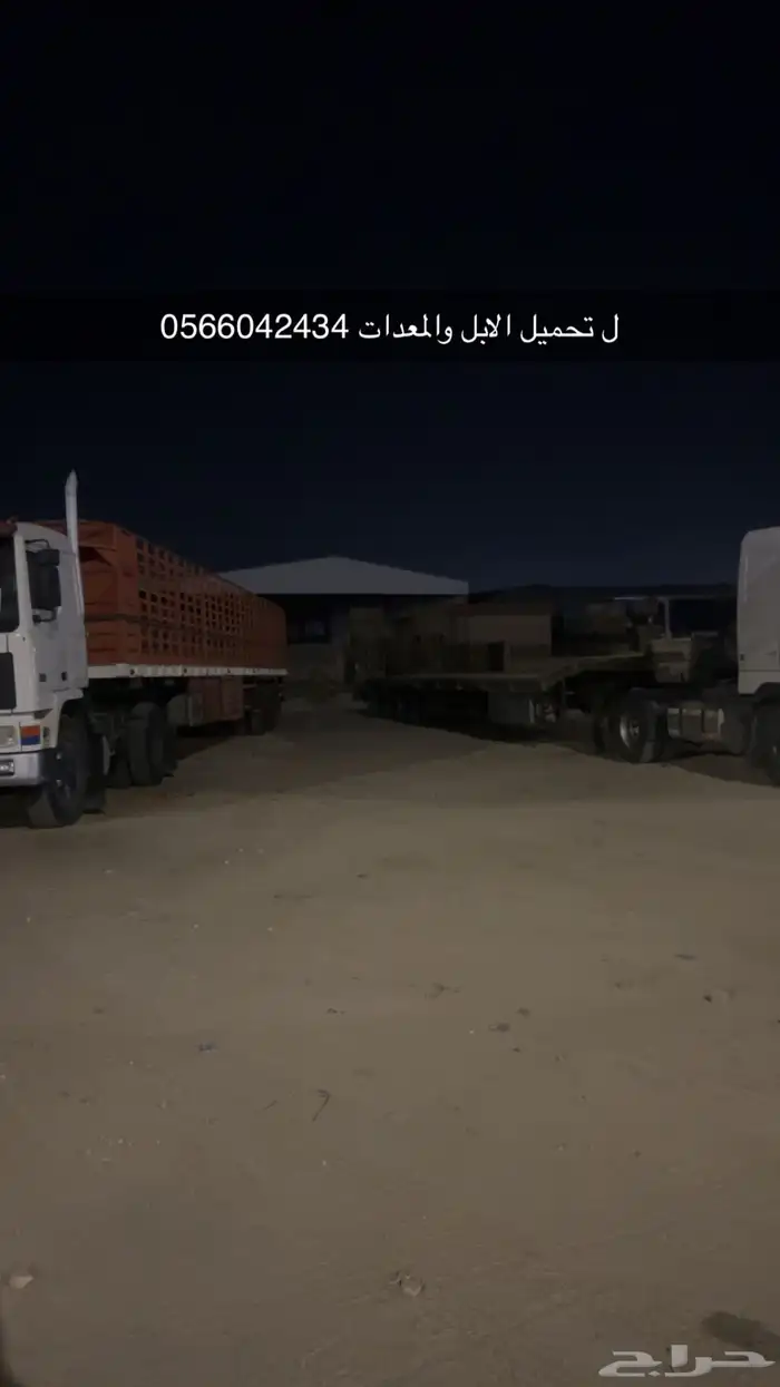 تريله لنقل البل الطول 16 0