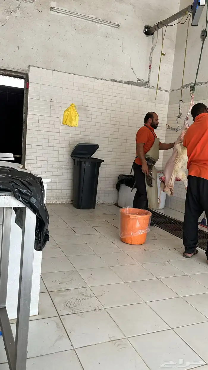 رخل حرية ورخل رفيديه تيلاد هنا 9
