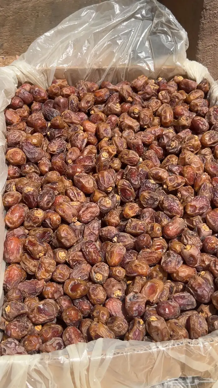 تمر خلاص وادي مفروز اصفر شرط لحمته كفو سكريه 2