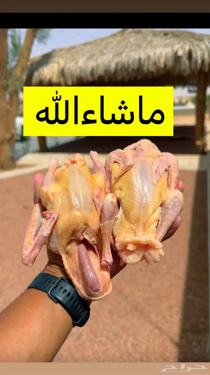 حمام فرنسي 1