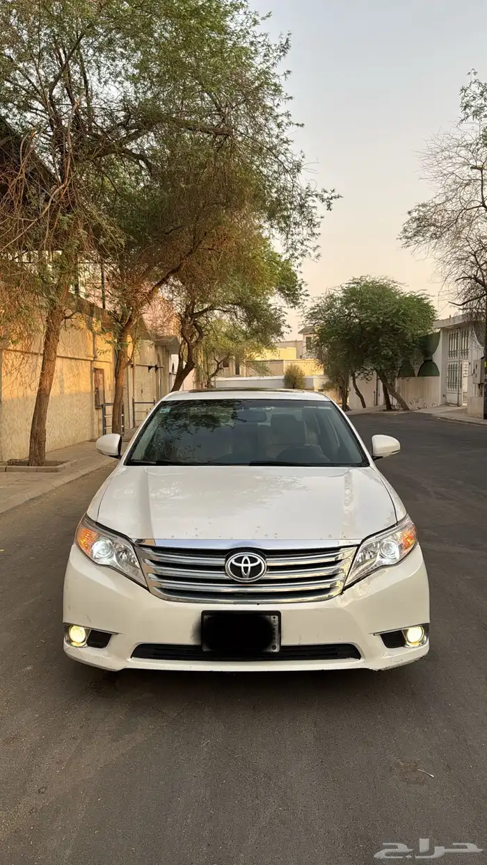 افلون 2011 4