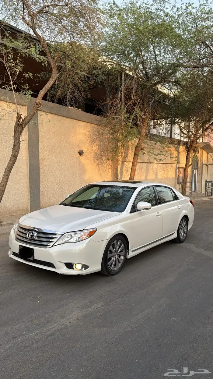 افلون 2011 5