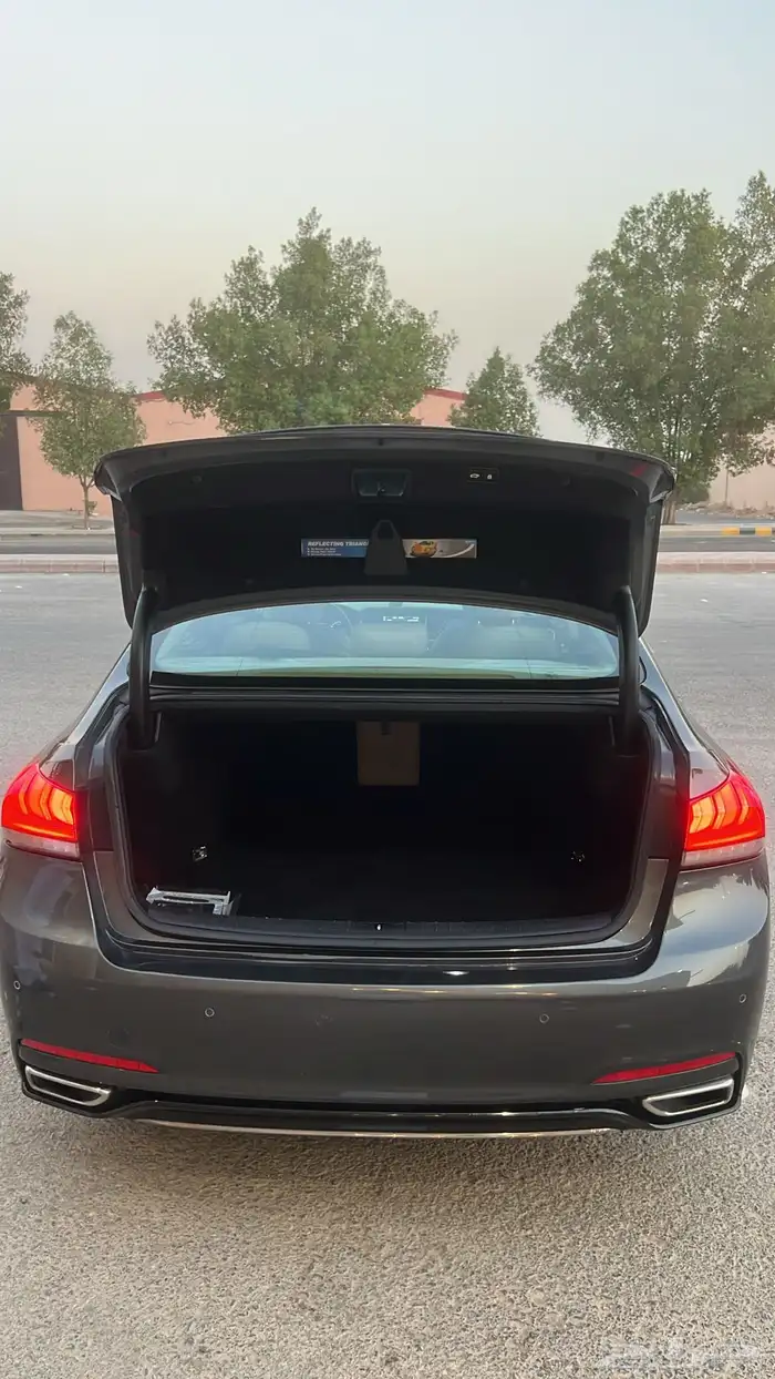 جنسس 2018 g80 10