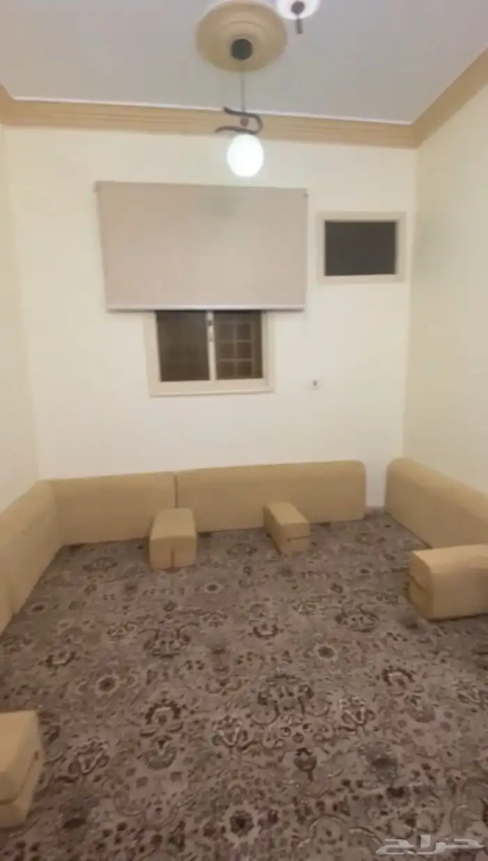 شقة مفروشه ابها 3