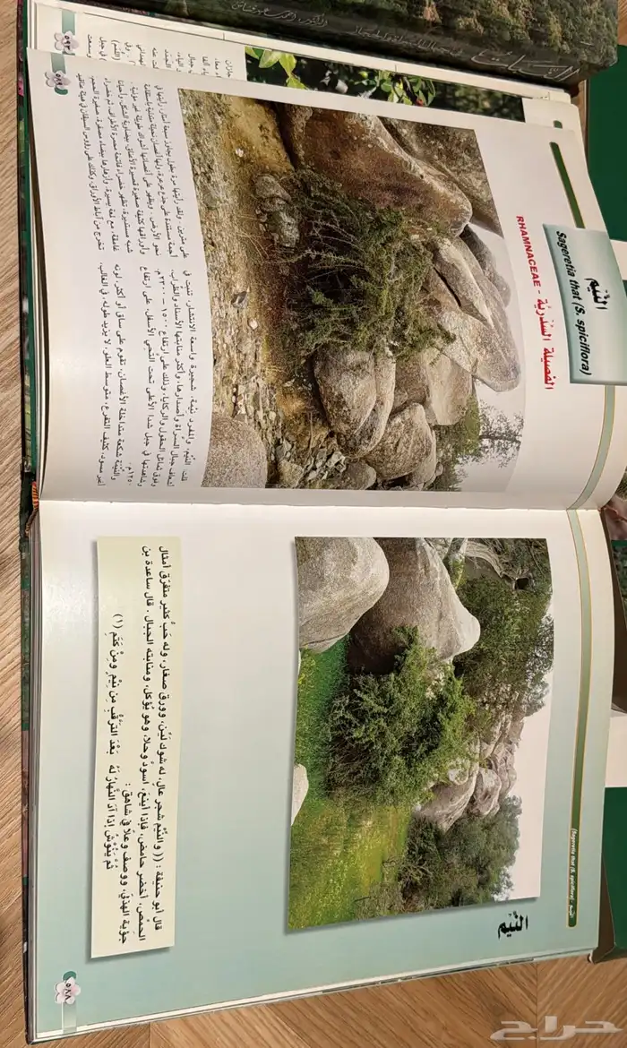 كتاب نادرة ومميزة 7