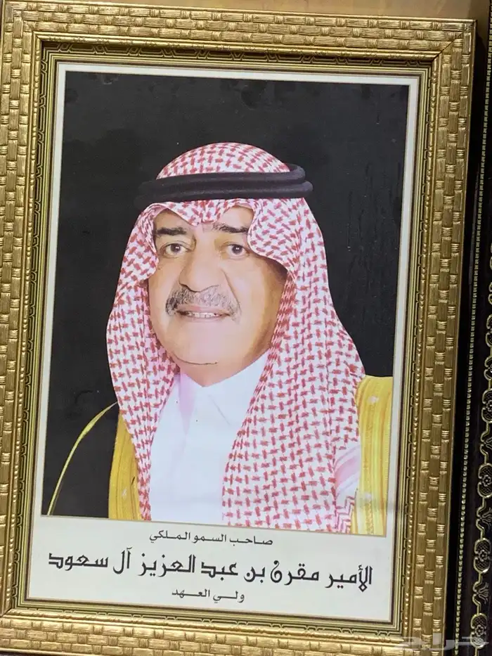 صور الامراء 2