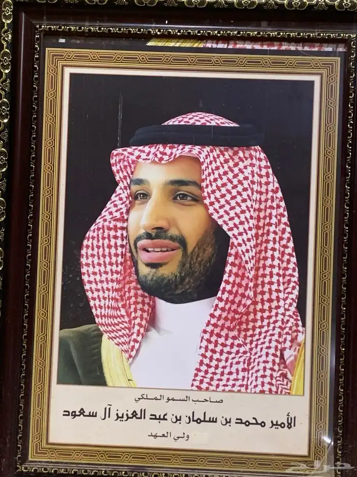 صور الامراء 1