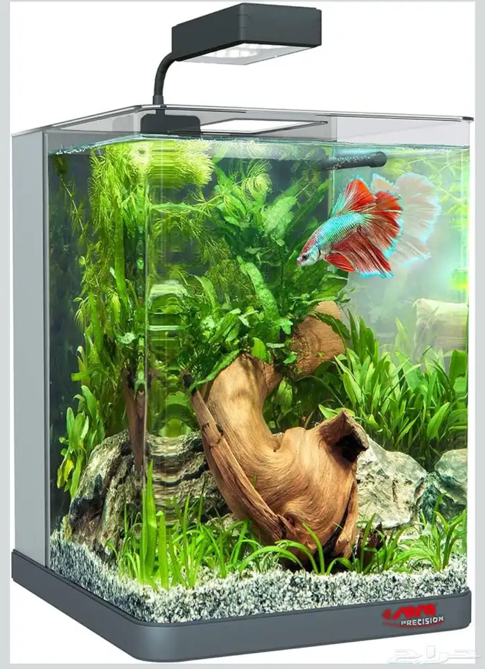 حوض سمك نانو مكعب من سيرا كامل 1