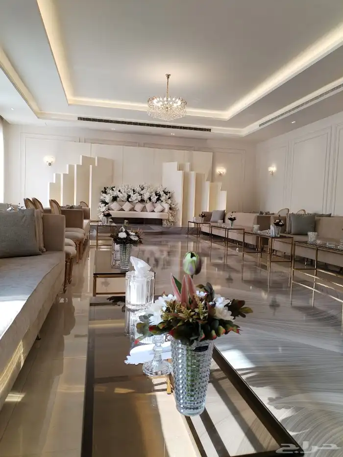 منسق حفلات 15