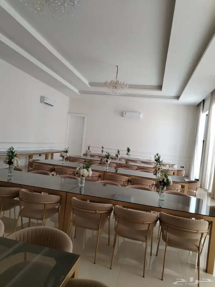 منسق حفلات 12