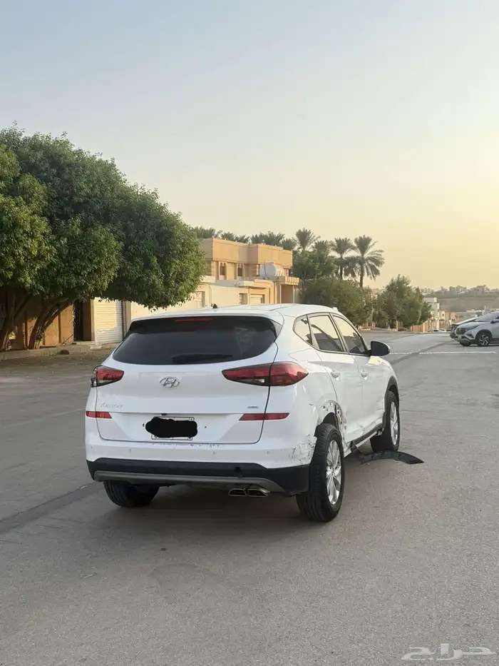 تم البيع 11