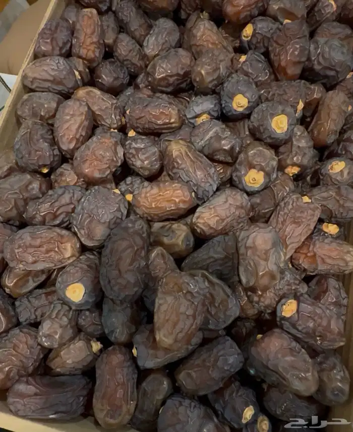 سكرية حمراء مفتل مبروم جلكسي 0
