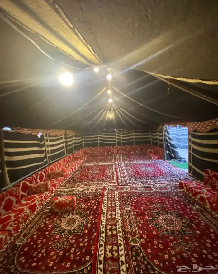 مخيم المقناص 13