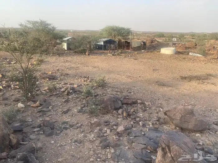للبيع أرض سكنيه ركنيه في مدينة الطائف ضاحية العرفاء 2