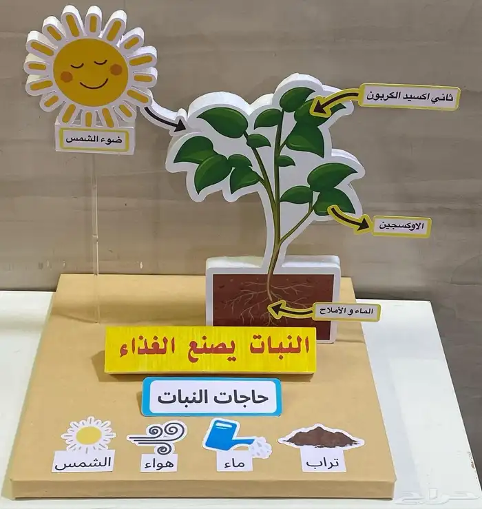 مطويات ومشاريع 3