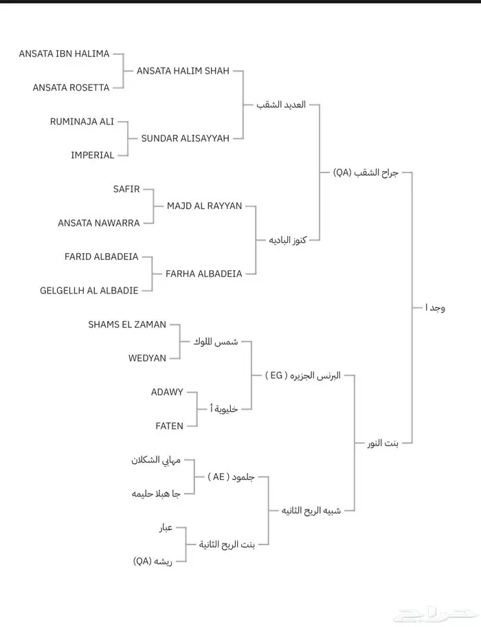 فرس 0