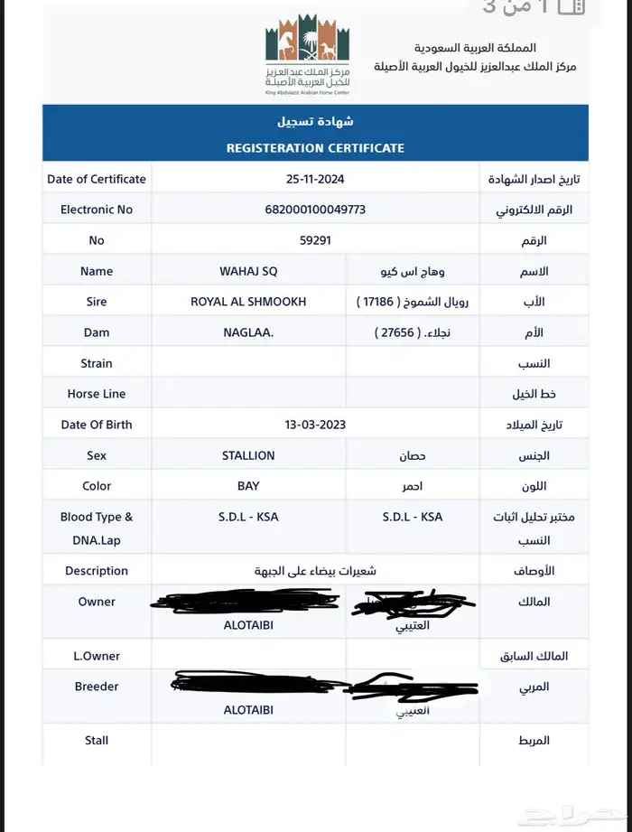 مهر بأوراق 4