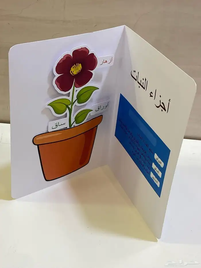 مطويات ومشاريع 5
