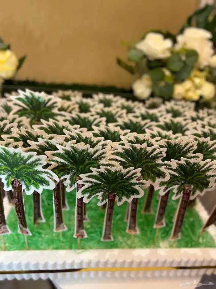 توزيعات مدارس لليوم الوطني 1