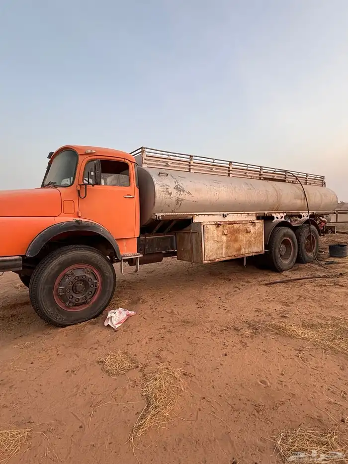 وايت سقس مديل 80 0