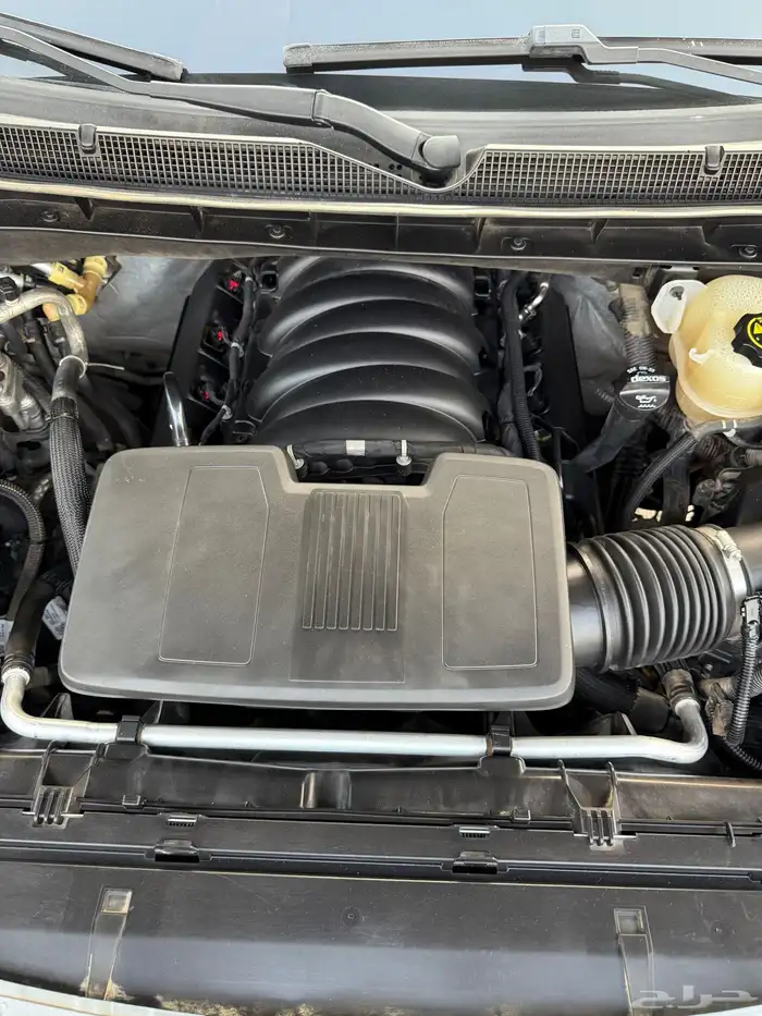 تاهو 2022 LS 20