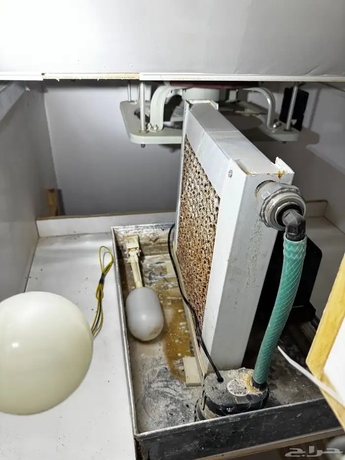 فقاسه حجم 3000 بيضه 5