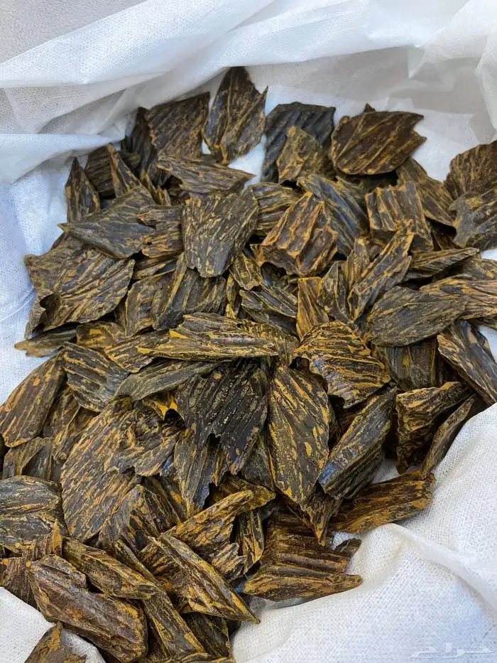 للبيع عود اصلي الازرق كلمنتان 1