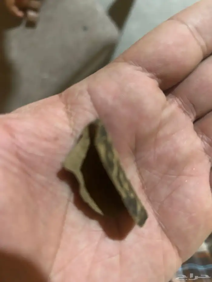 عود تايقر جمله وزوايا 2