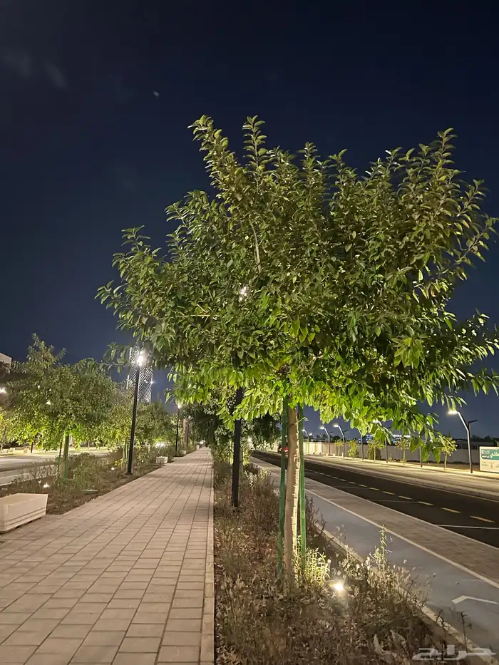 مشتل مؤسسة ميم للتشجير 7