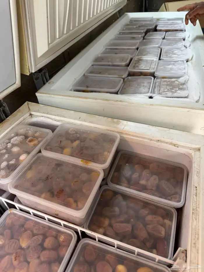 سكري وبرحي انتاج الموسم يوجد توص 1